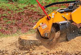 How Our Tree Care Process Works  in  Hillsdale, NJ